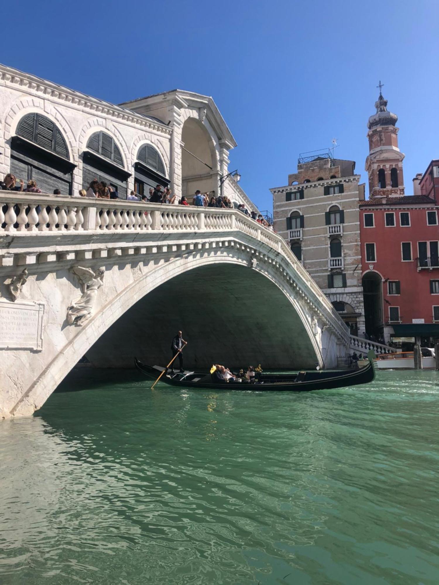 Rialto Venecia